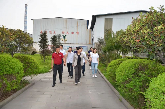 泸州华球体育（中国）科技公司玻璃公司.png